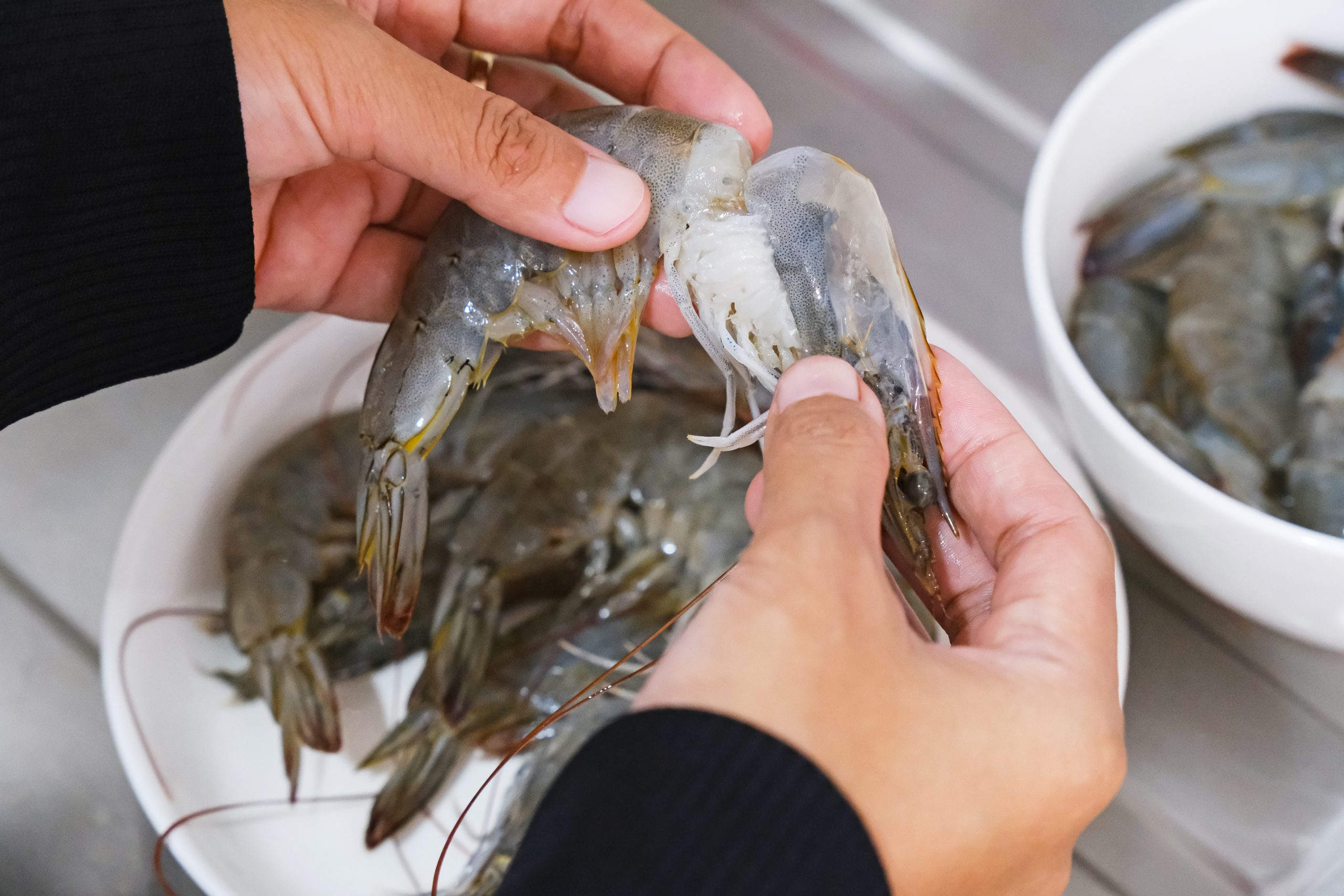 langostino6 scaled