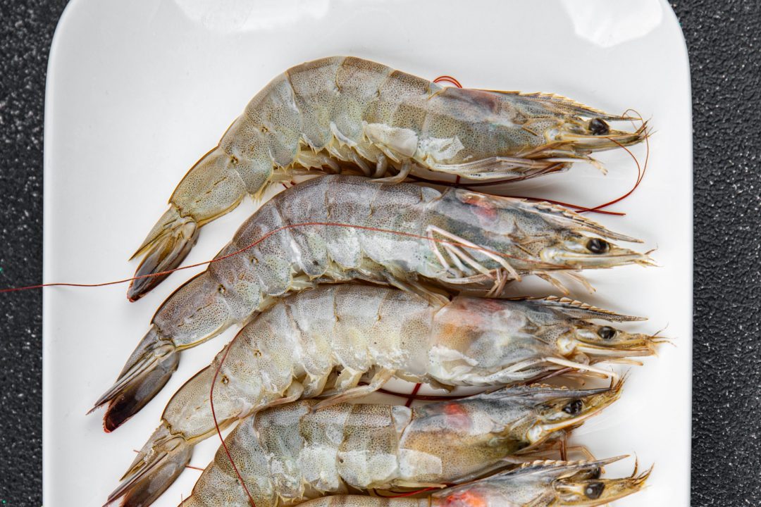 langostino7 scaled e1750607680255